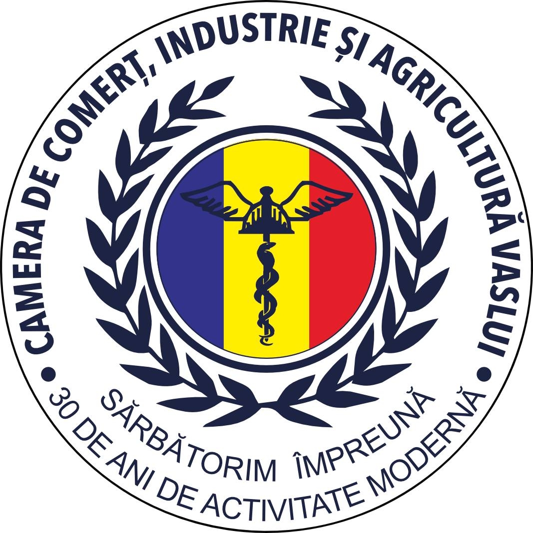 Logo Vaslui